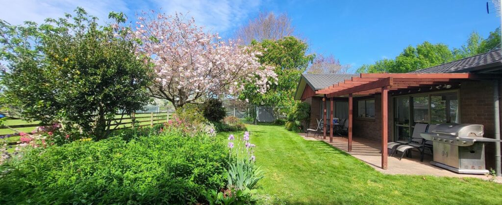 Spring blossom over the cottage lawn