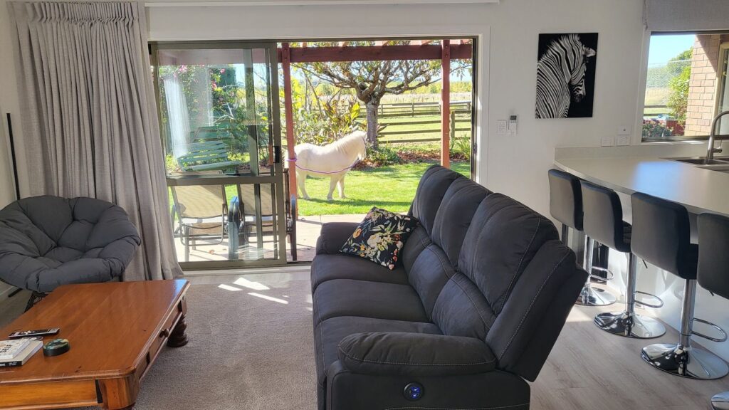 Cottage lounge looking out to the garden, with the pony outside