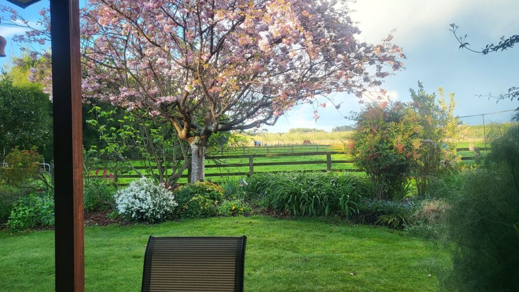 Blossom and paddock view from the cottage garden