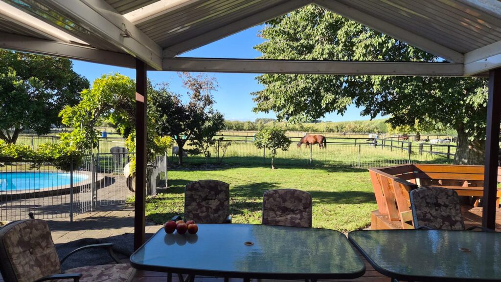 View from the covered deck across the paddock, with a horse grazing