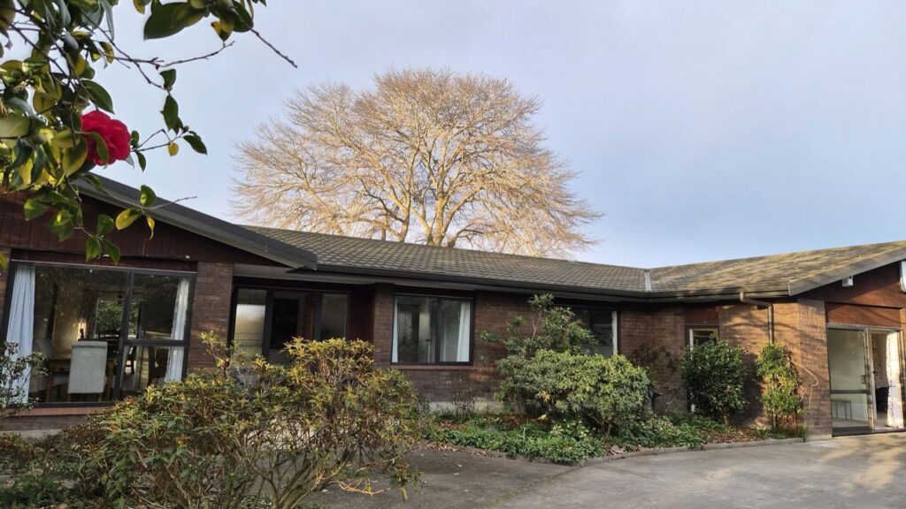 The Farmhouse and garden under a big old tree