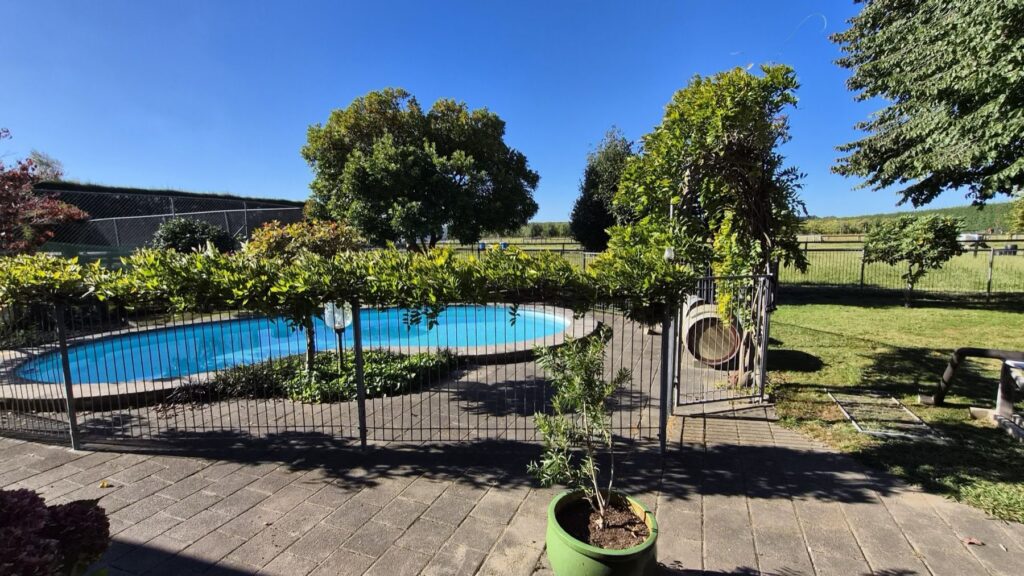 The fenced pool and garden on a sunny day