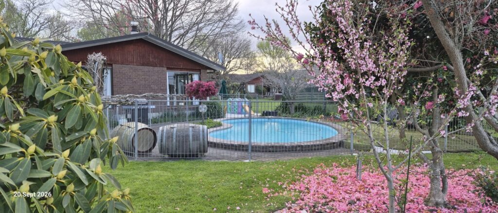 The Farmhouse and pool today with blossom