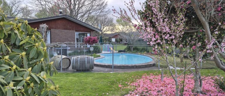 The Farmhouse and pool today with blossom